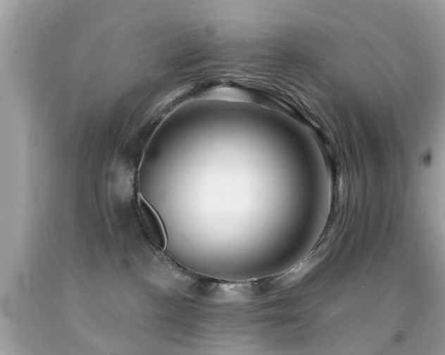 X0000092080188200709121451