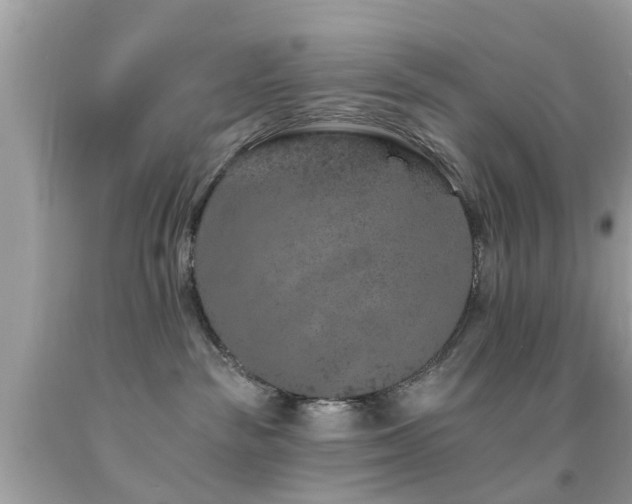 X0000092080189200709121451
