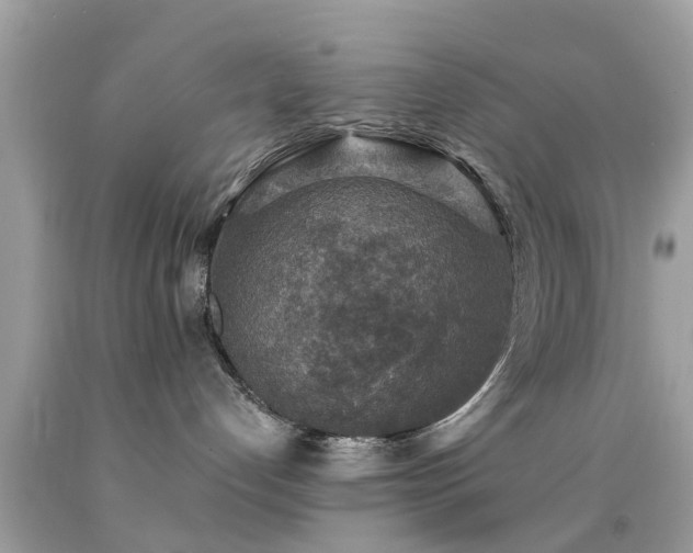 X0000092080192200709121451