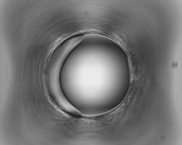 X0000092080193200709121451
