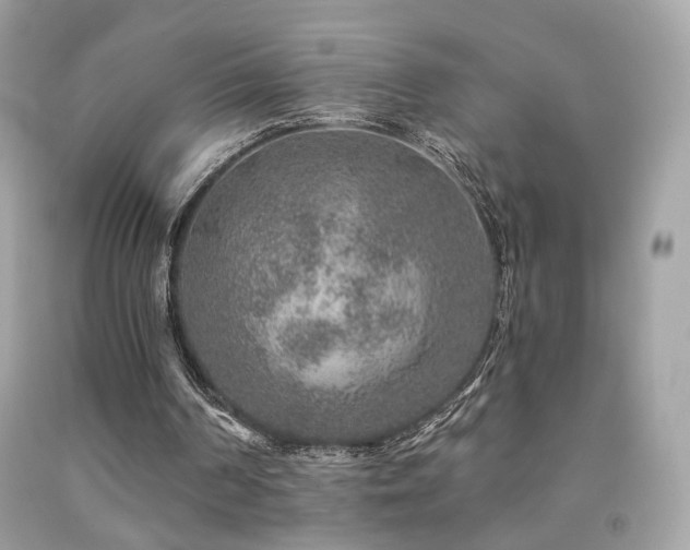 X0000092080194200709121451