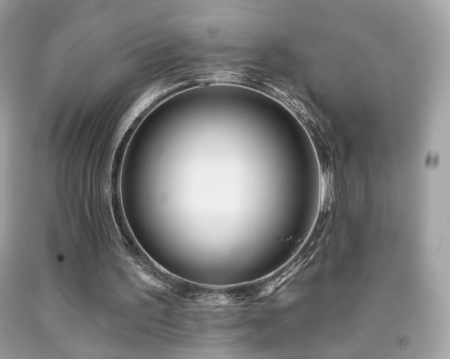 X0000092080195200709121451