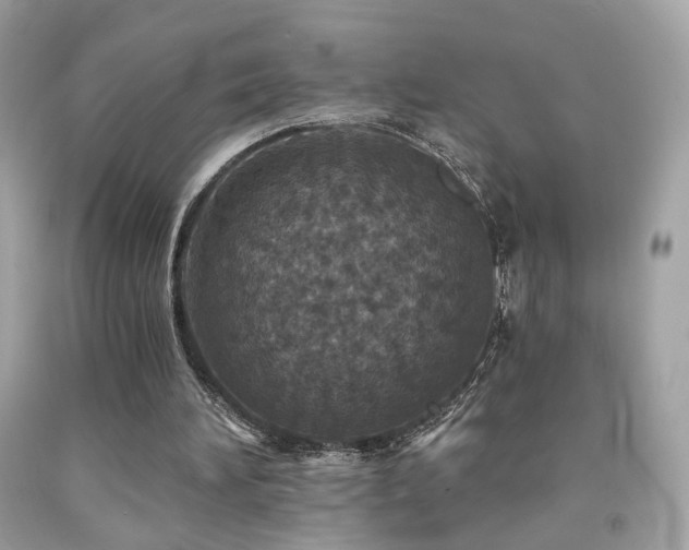 X0000092080196200709121451