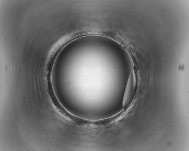 X0000092080197200709121451