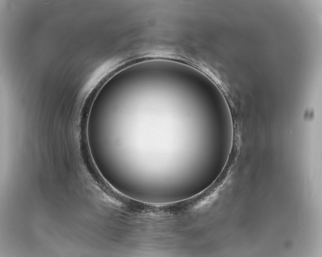 X0000092080199200709121451