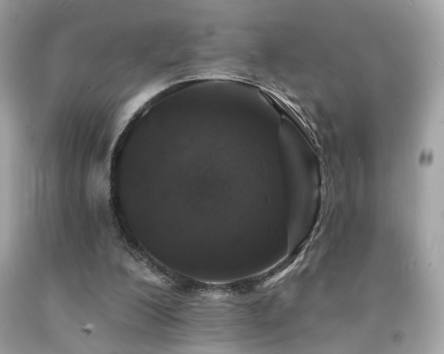 X0000092080200200709121451