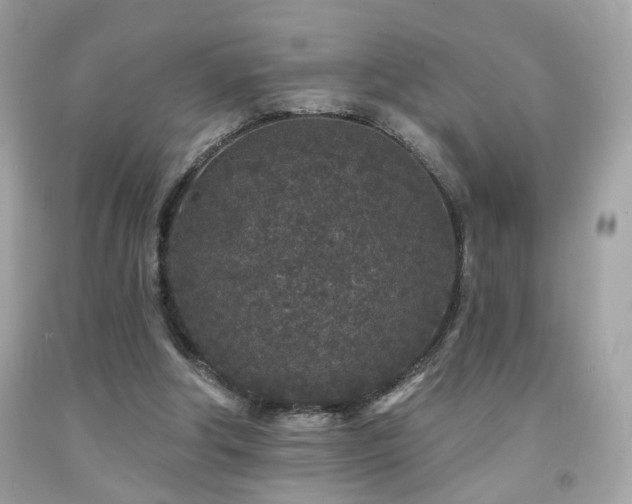 X0000092080202200709121451