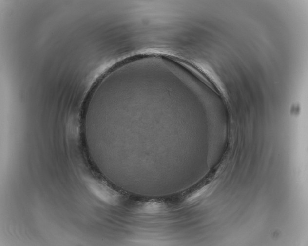 X0000092080204200709121451