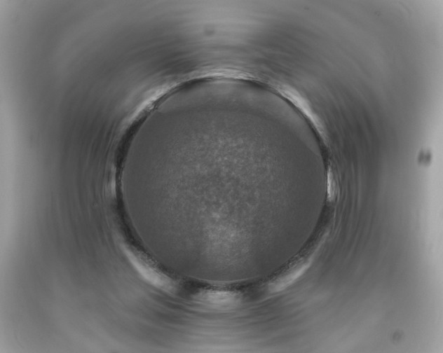 X0000092080205200709121451