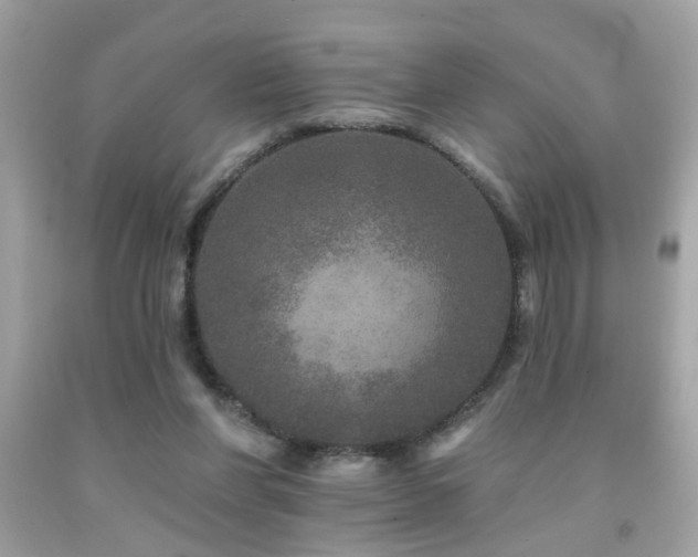 X0000092080206200709121451