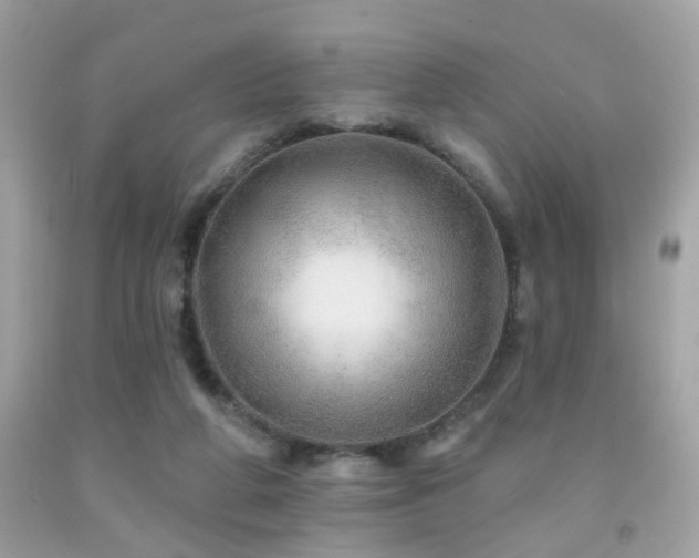 X0000092080210200709121451