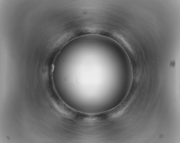 X0000092080213200709121451