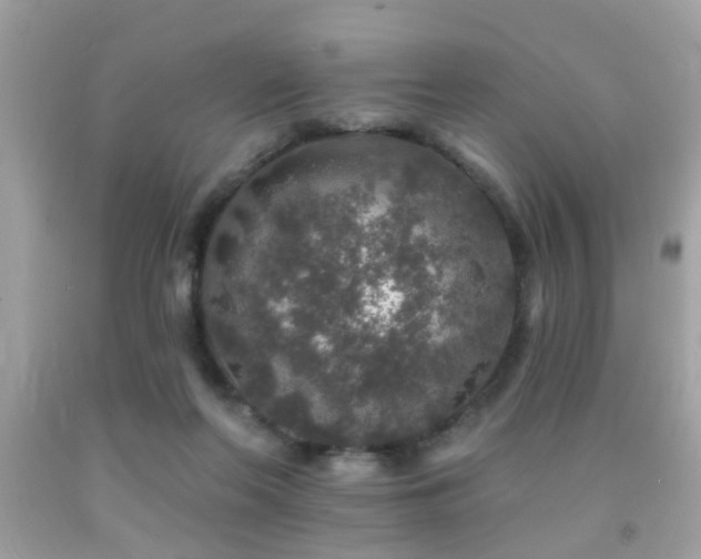 X0000092080214200709121450