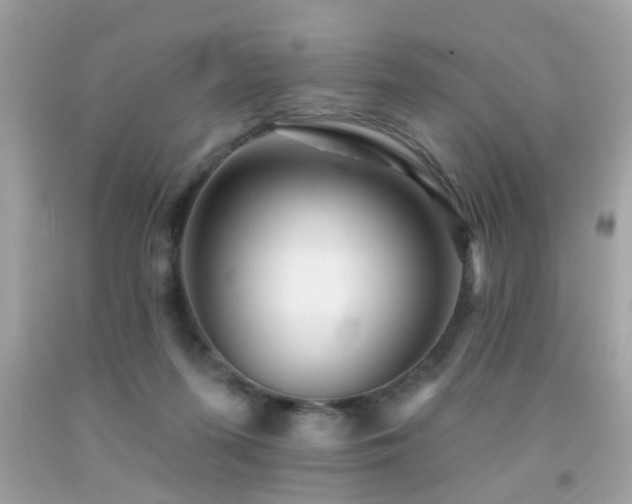 X0000092080215200709121450