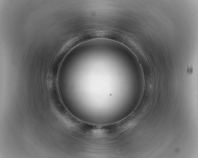 X0000092080216200709121450