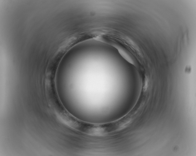 X0000092080217200709121450