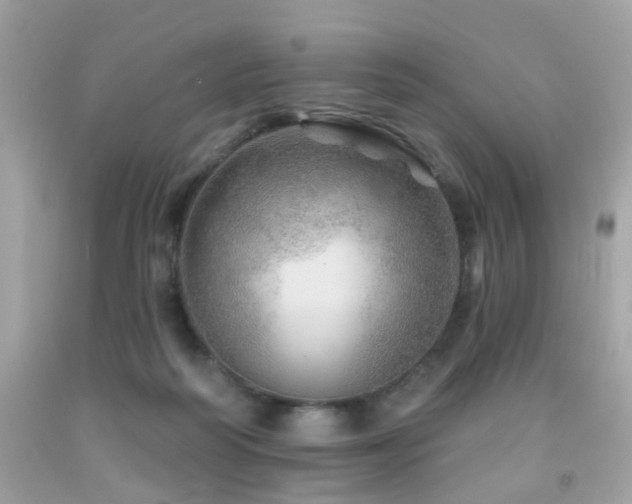 X0000092080218200709121450