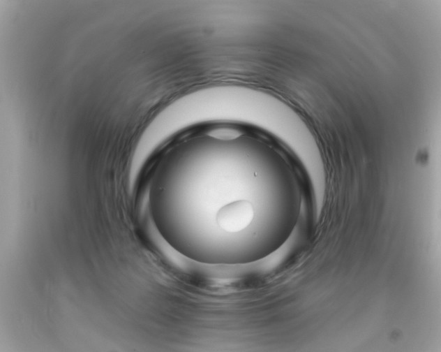 X0000092080219200709121450