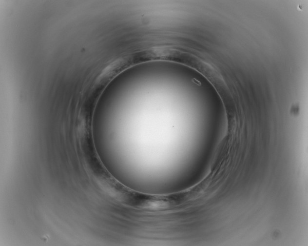 X0000092080220200709121450