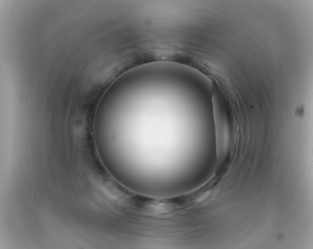 X0000092080221200709121450