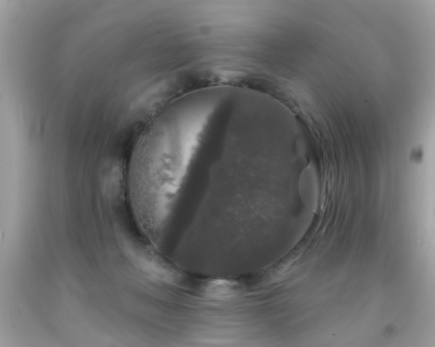 X0000092080222200709121450
