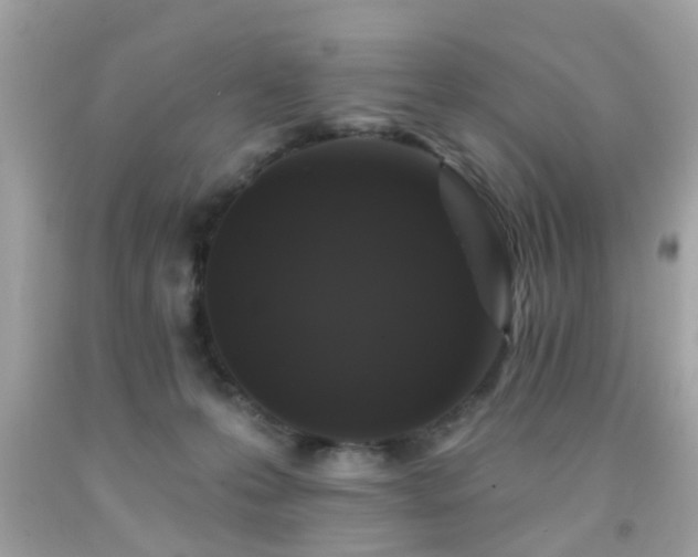 X0000092080223200709121450