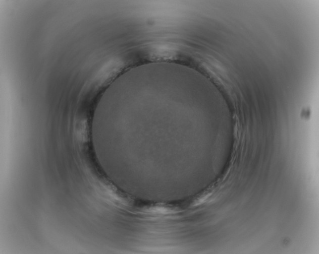 X0000092080224200709121450
