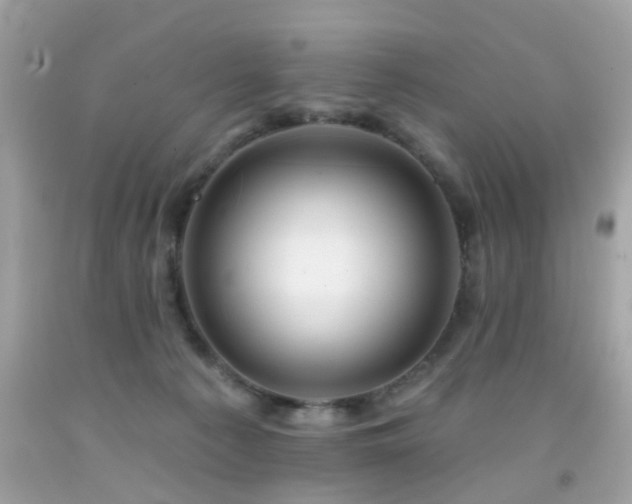 X0000092080225200709121450