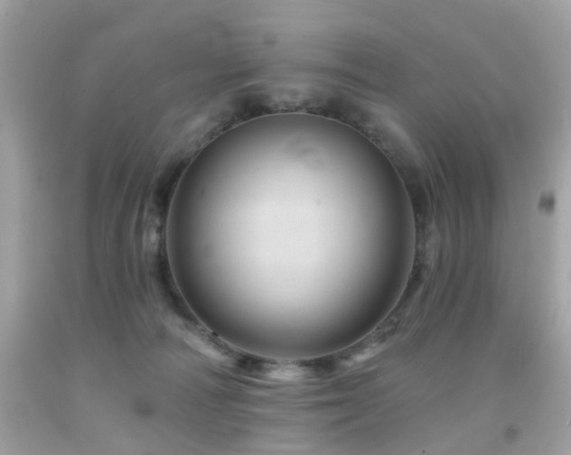 X0000092080226200709121450