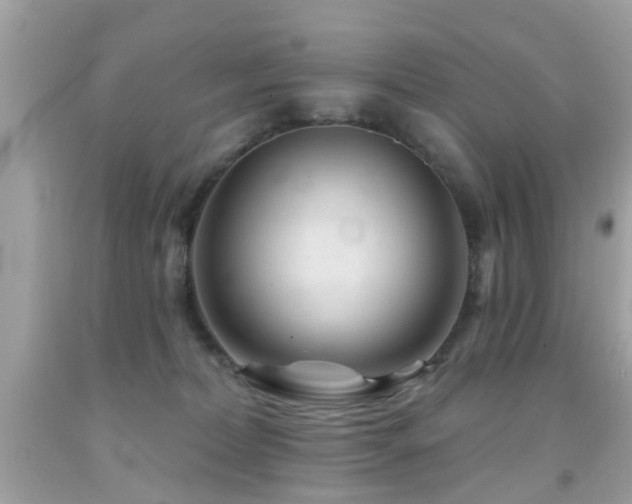 X0000092080228200709121450