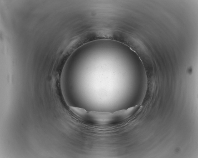 X0000092080229200709121450
