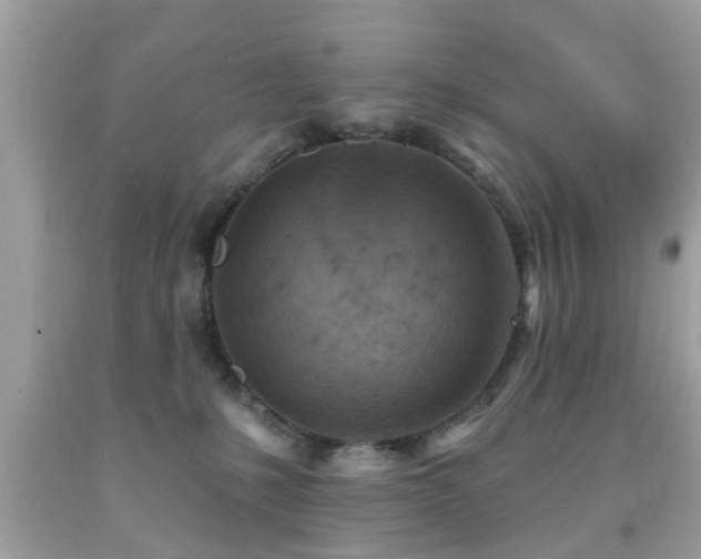 X0000092080231200709121450