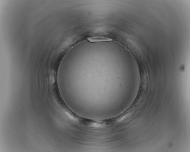 X0000092080232200709121450