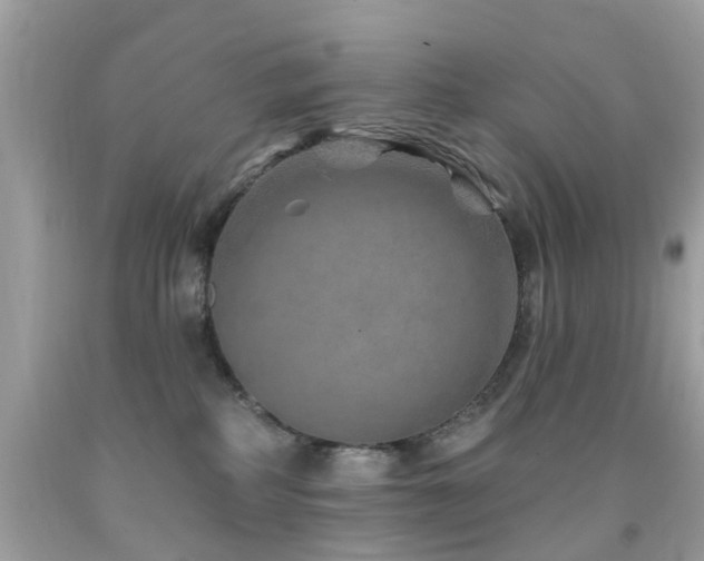 X0000092080234200709121450