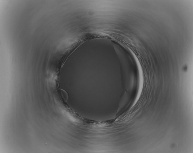 X0000092080235200709121450