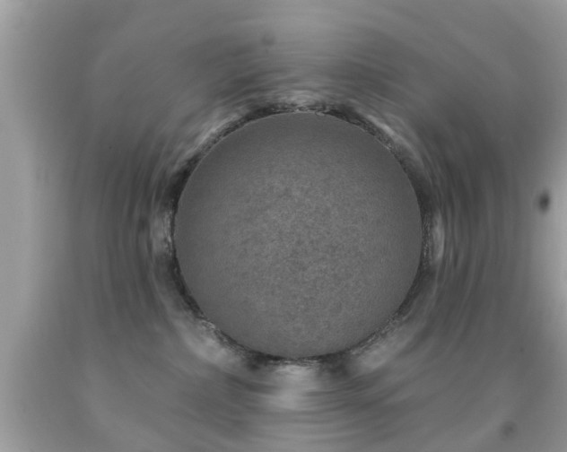 X0000092080236200709121450