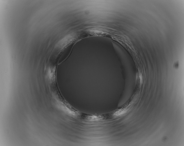 X0000092080239200709121450