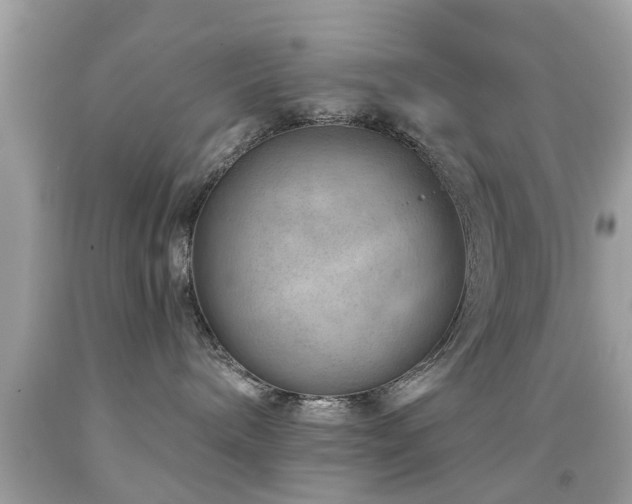 X0000092080240200709121450