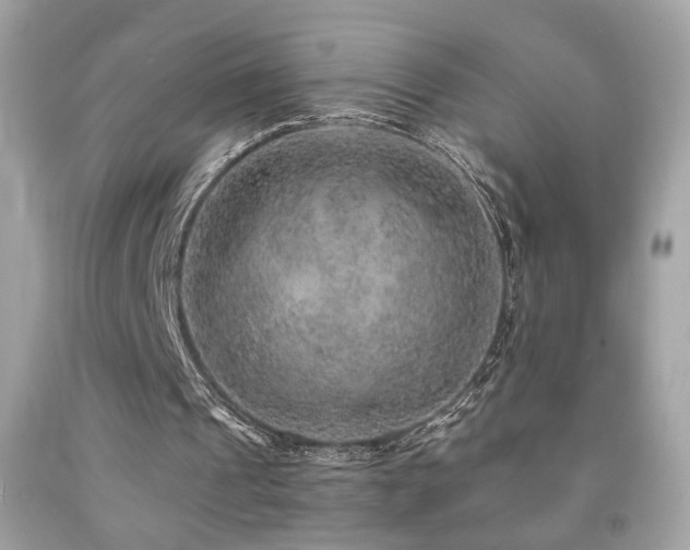 X0000092080241200709121450