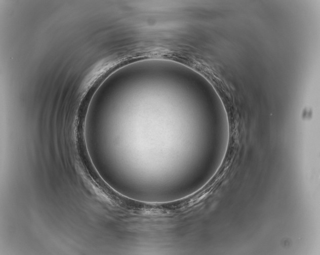 X0000092080242200709121450