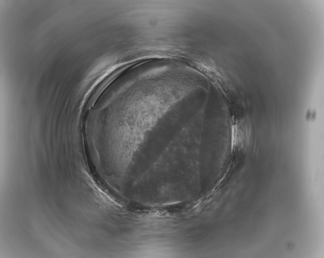 X0000092080243200709121450