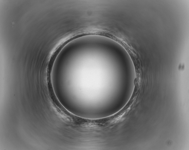 X0000092080244200709121450