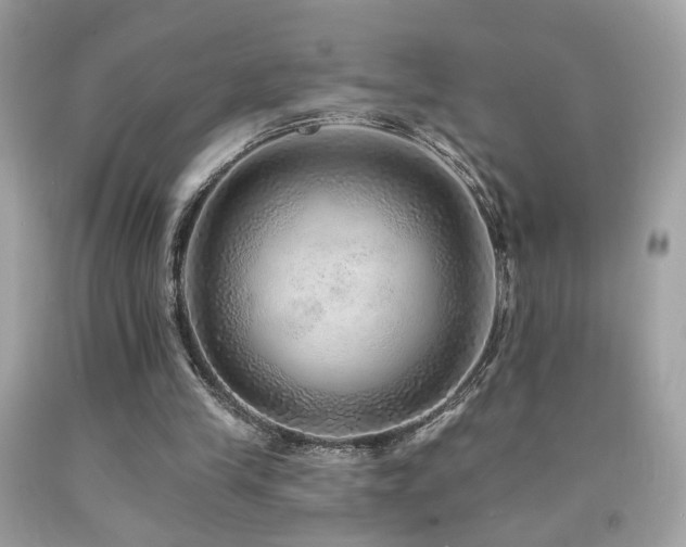 X0000092080245200709121450