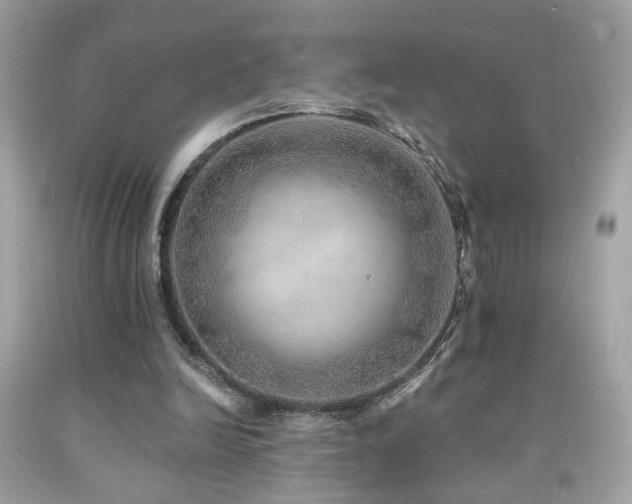 X0000092080246200709121450