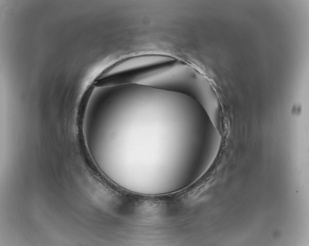X0000092080248200709121450