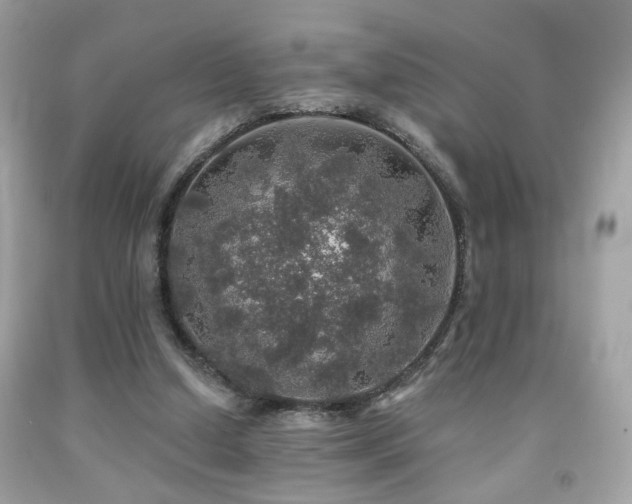 X0000092080250200709121450