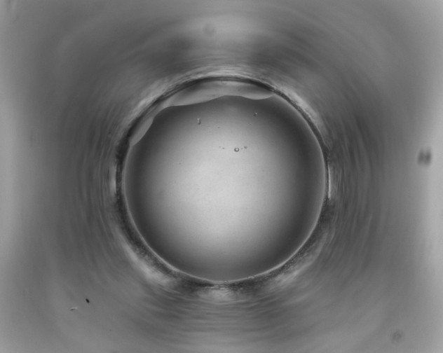 X0000092080253200709121450