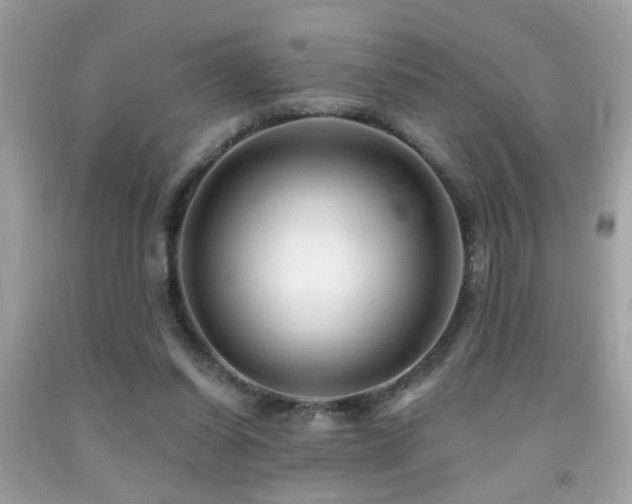 X0000092080254200709121450