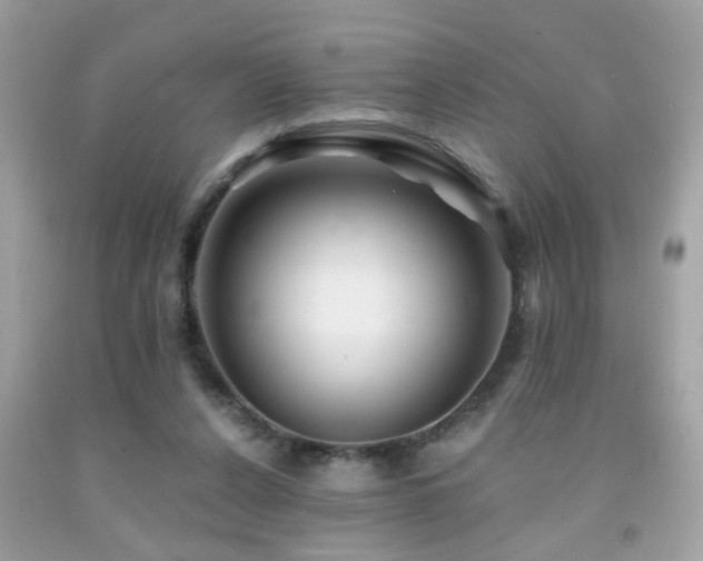 X0000092080256200709121450