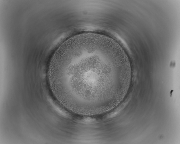 X0000092080257200709121450